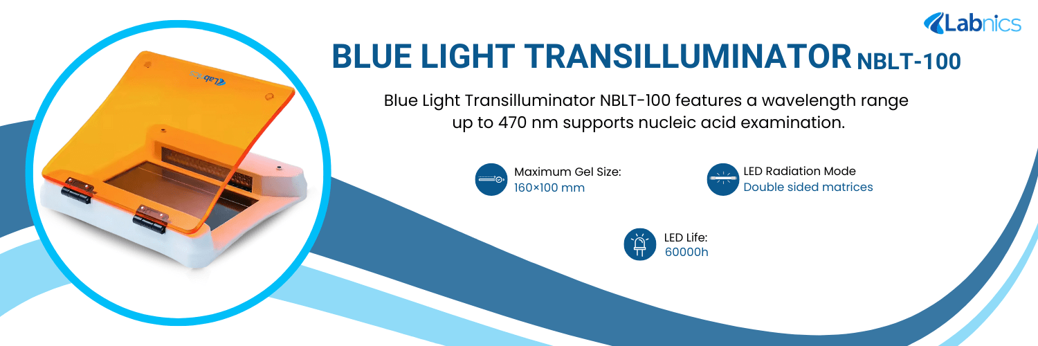 Blue Light Transilluminator NBLT-100