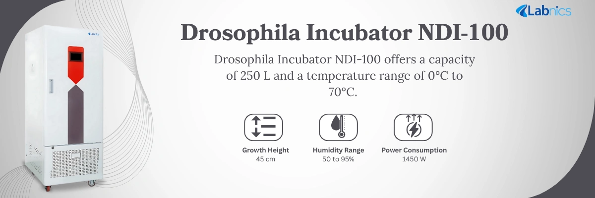 Drosophila Incubator NDI-100