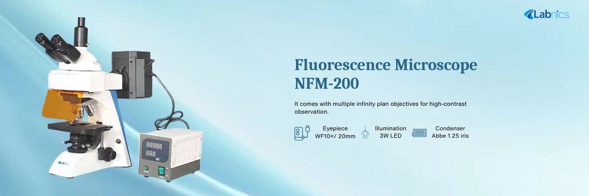 Fluorescence Microscope NFM-200