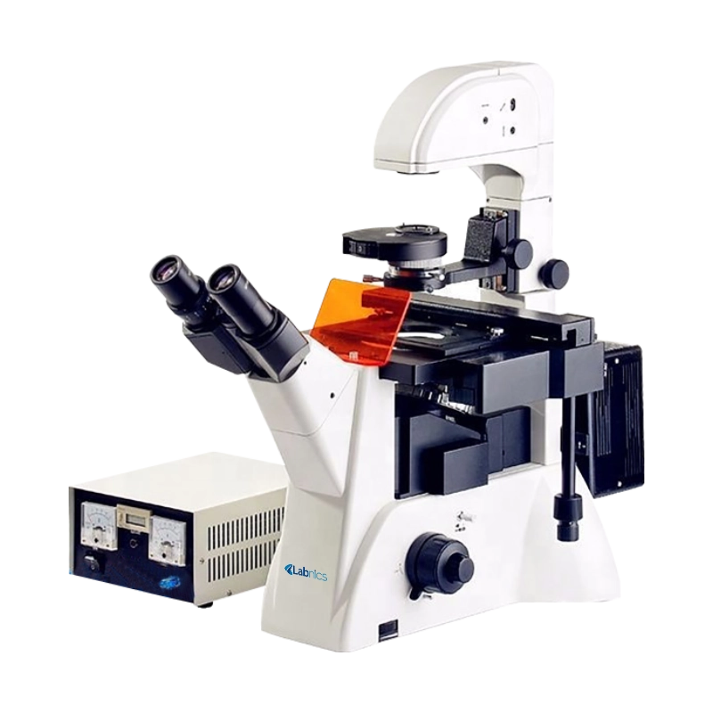 Inverted Fluorescence Microscope NIFM-100